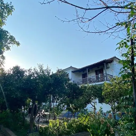 Zirganos Horton Pelion 1 *